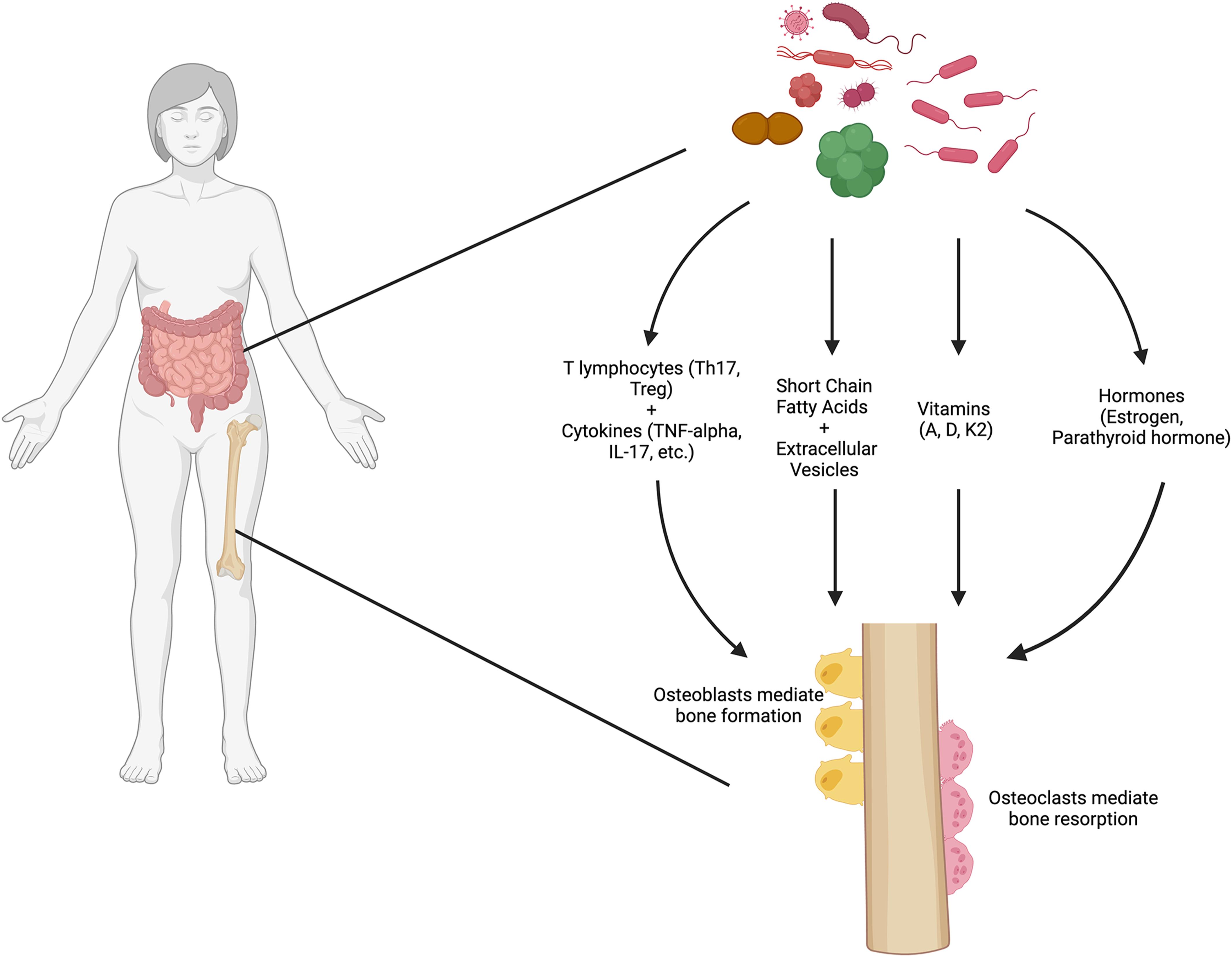 JBJS: The Microbial Revolution in the World of Joint Replacement Surgery JBJS: The Microbial Revolution in the World of Joint Replacement Surgery